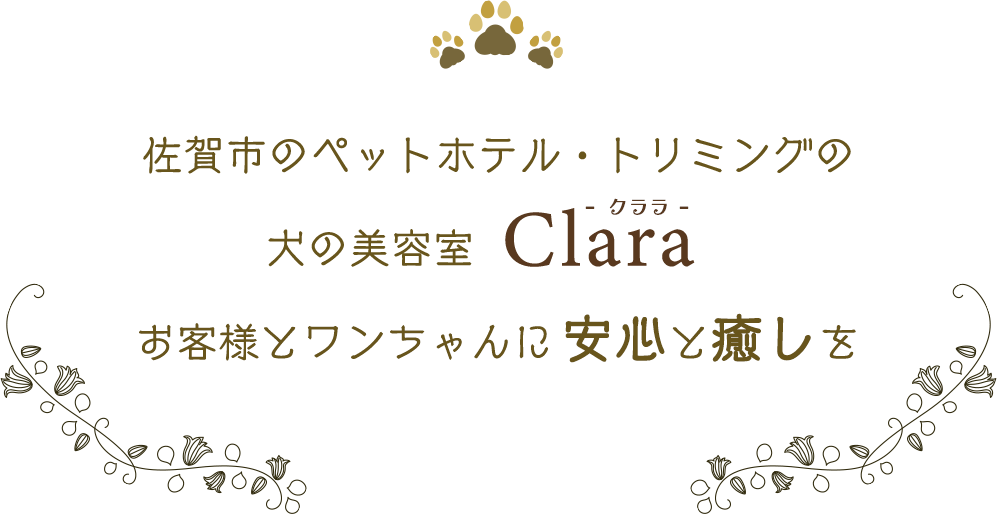 佐賀市のペットホテル・トリミングのペットサロン「クララ」お客様とワンちゃんに安心と癒しを