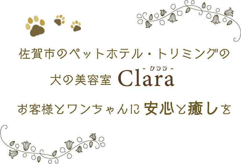 佐賀市のペットホテル・トリミングのペットサロン「クララ」お客様とワンちゃんに安心と癒しを